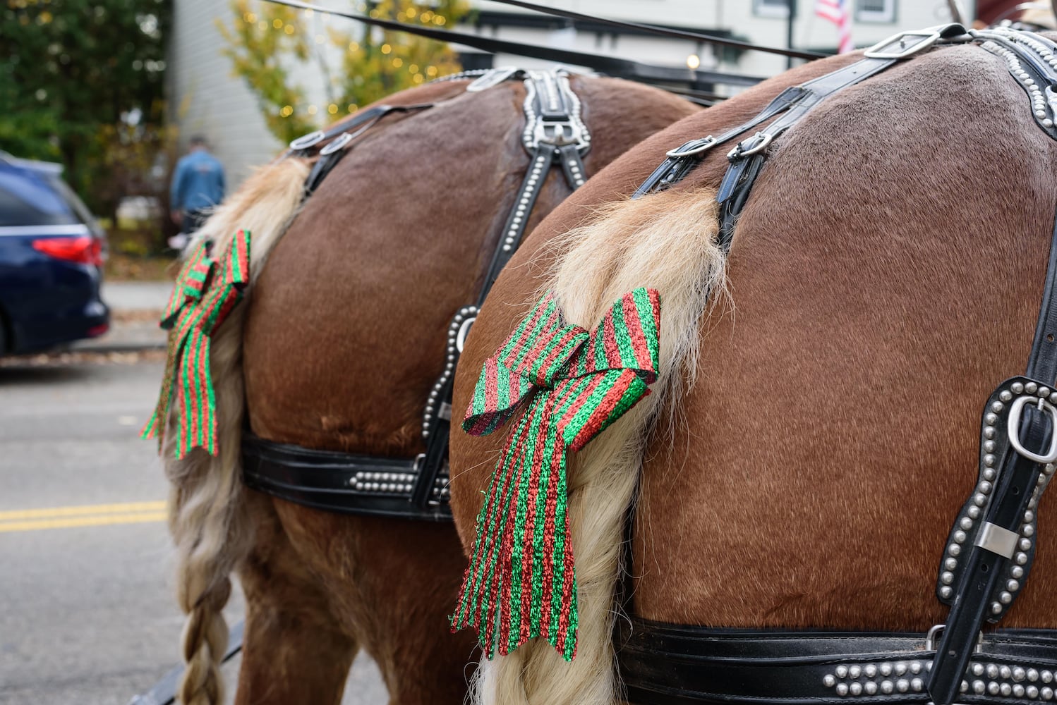 PHOTOS: 2024 Yuletide Winter’s Gathering in downtown Tipp City