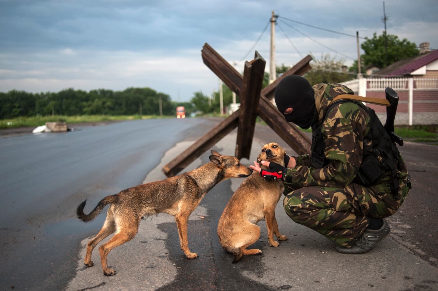 News hounds (6/19/2014)