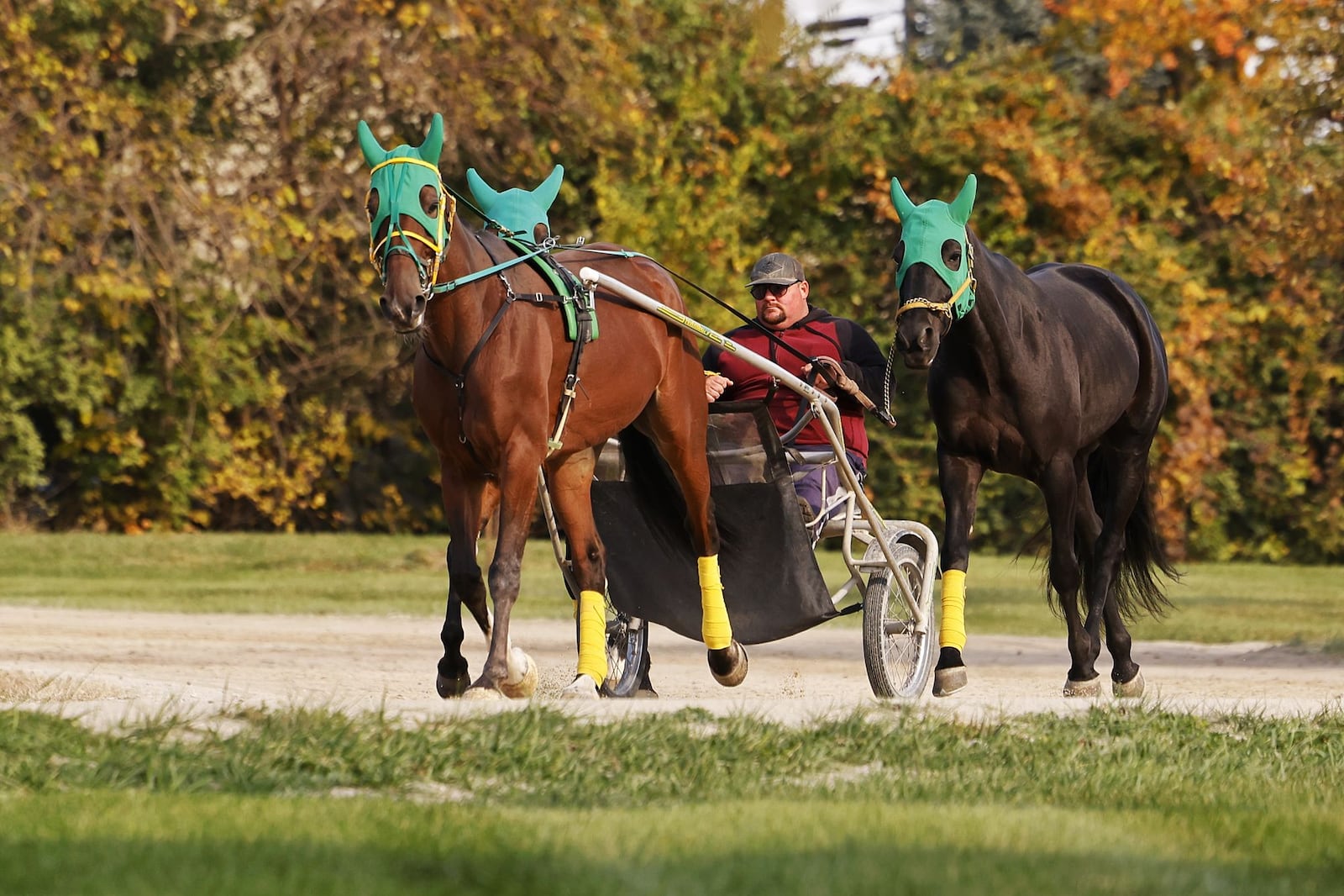 Warren County Agricultural Society voted to end harness racing training and close all barns housing 300-plus horses at Warren County Fairgrounds on Dec. 1. NICK GRAHAM/STAFF