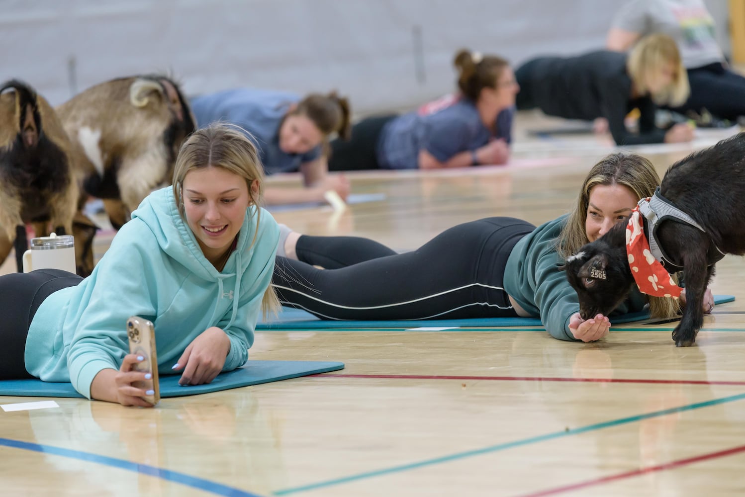 PHOTOS: Sweetheart Goat Yoga at Vandalia Recreation Center