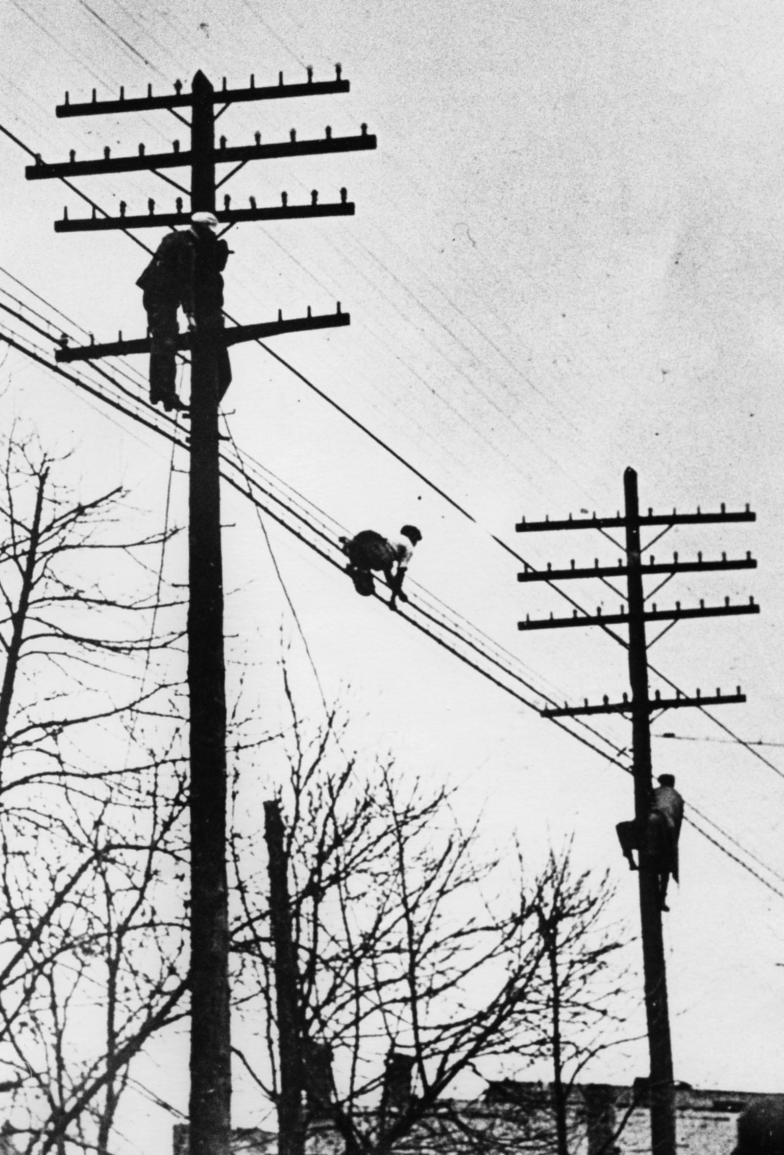 Men walk along phone wires to escape the flood water in 1913.