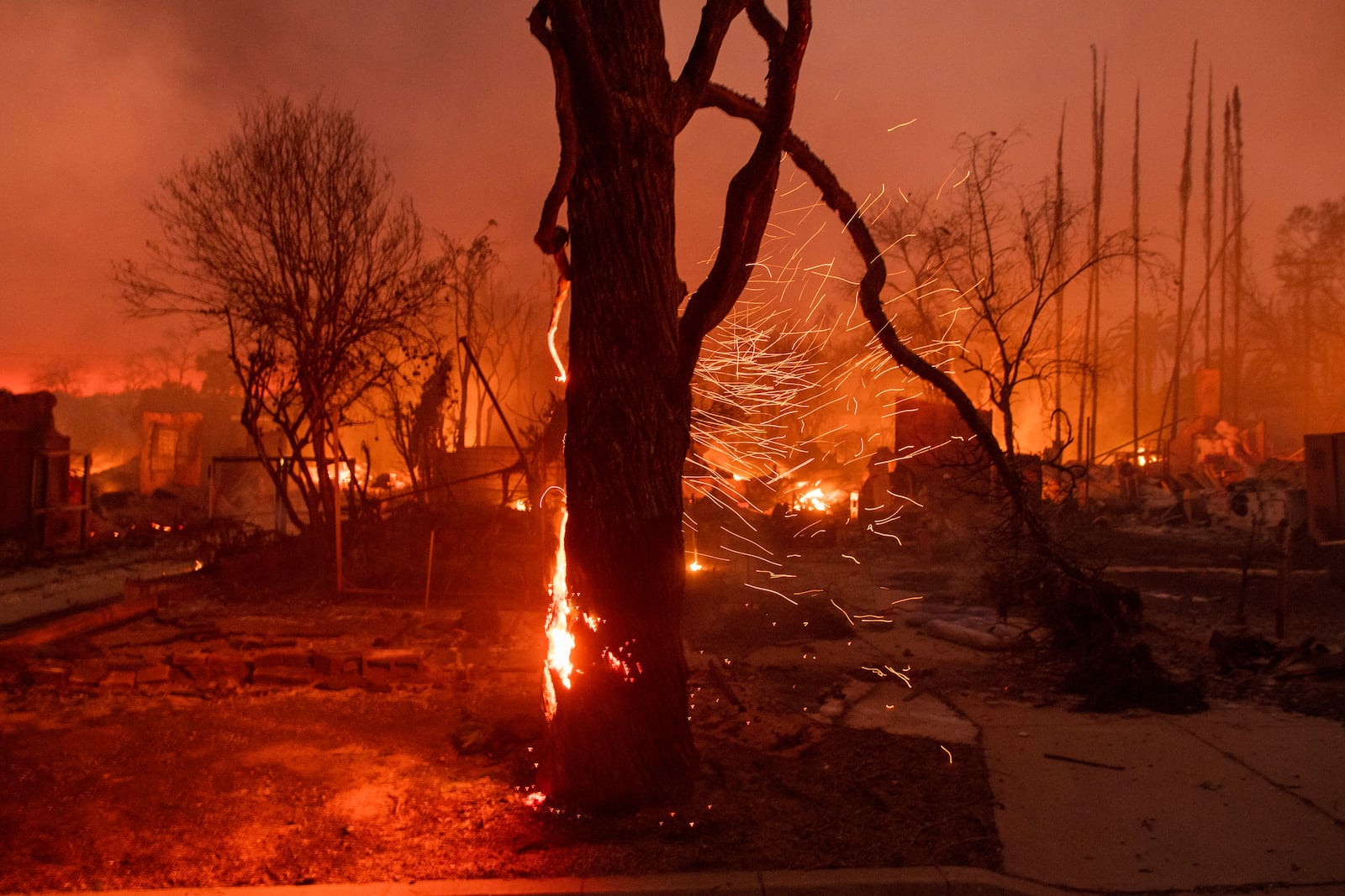 FILE - Embers are blown off a burning tree as the Eaton Fire burns in Altadena, Calif., Jan. 8, 2025. (AP Photo/Nic Coury, File)