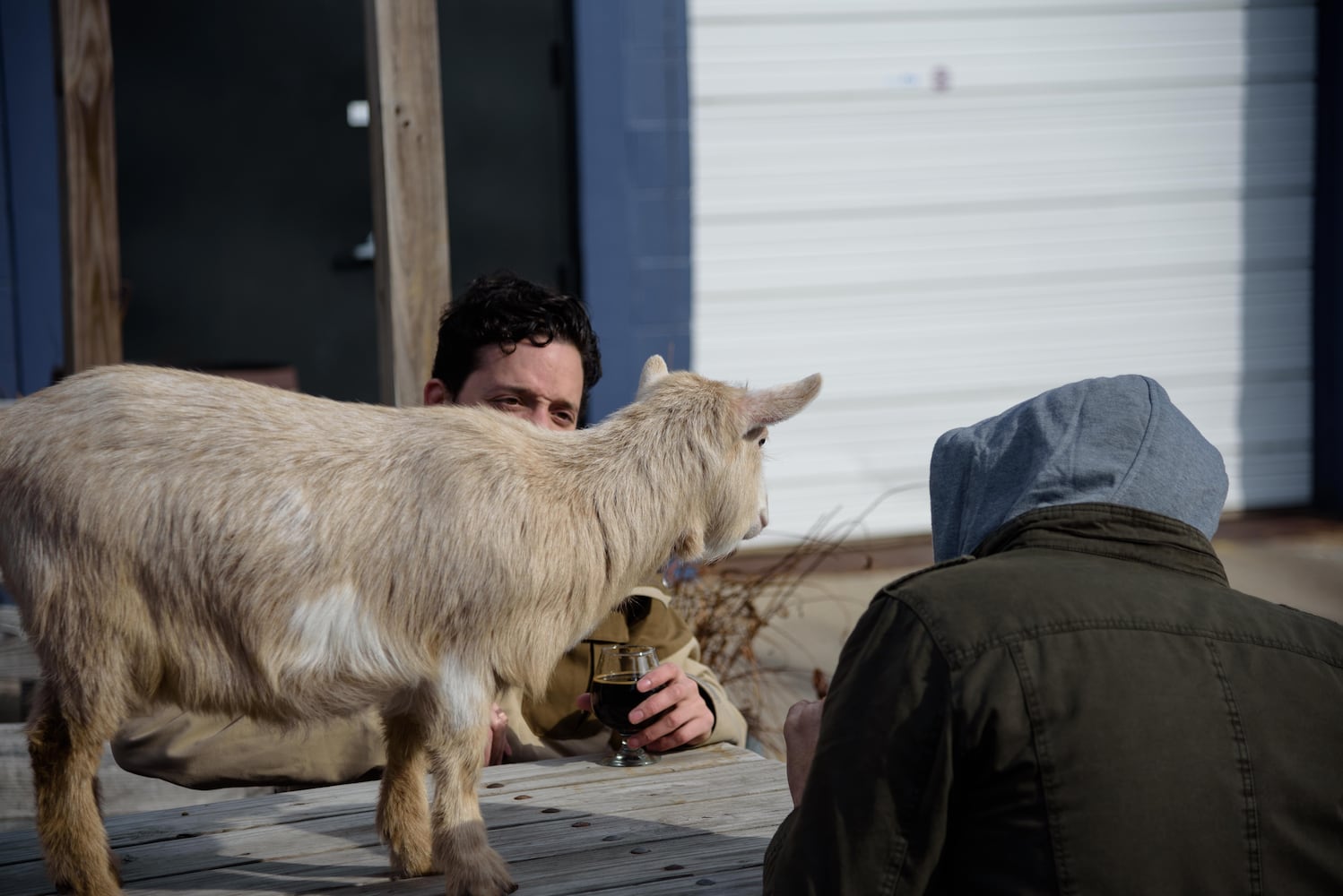 PHOTOS: Did we spot you frolicking with the cutest kids at Dayton Beer Company’s GoatFest?