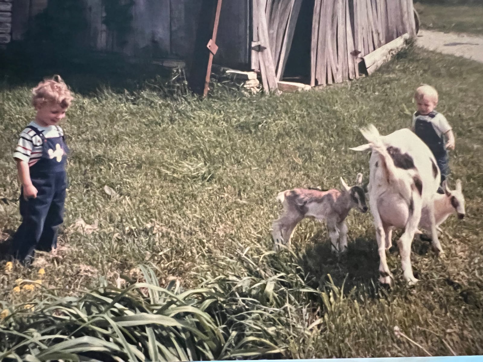 Grant's two sons, Taylor (L) and Jacob in 1987 on the family farm in Indiana.