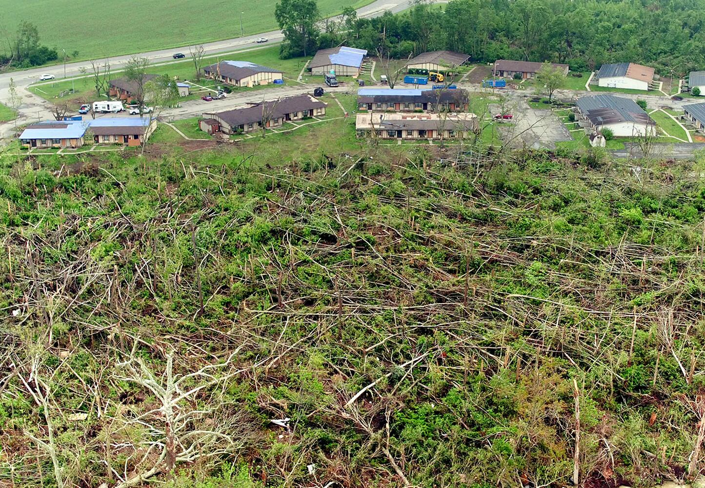 PHOTOS: Broken and downed trees another reminder of tornadoes