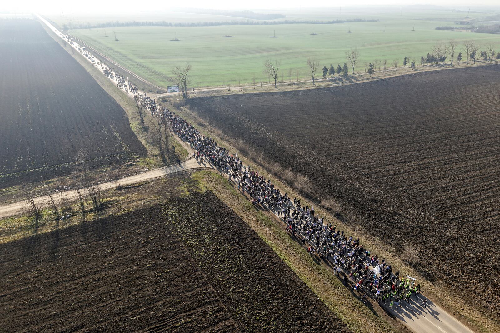 Students march trough the fields in northern Serbia as they protest over the collapse of a concrete canopy that killed 15 people more than two months ago, in Indjija, Serbia, Friday, Jan. 31, 2025. (AP Photo/Armin Durgut)