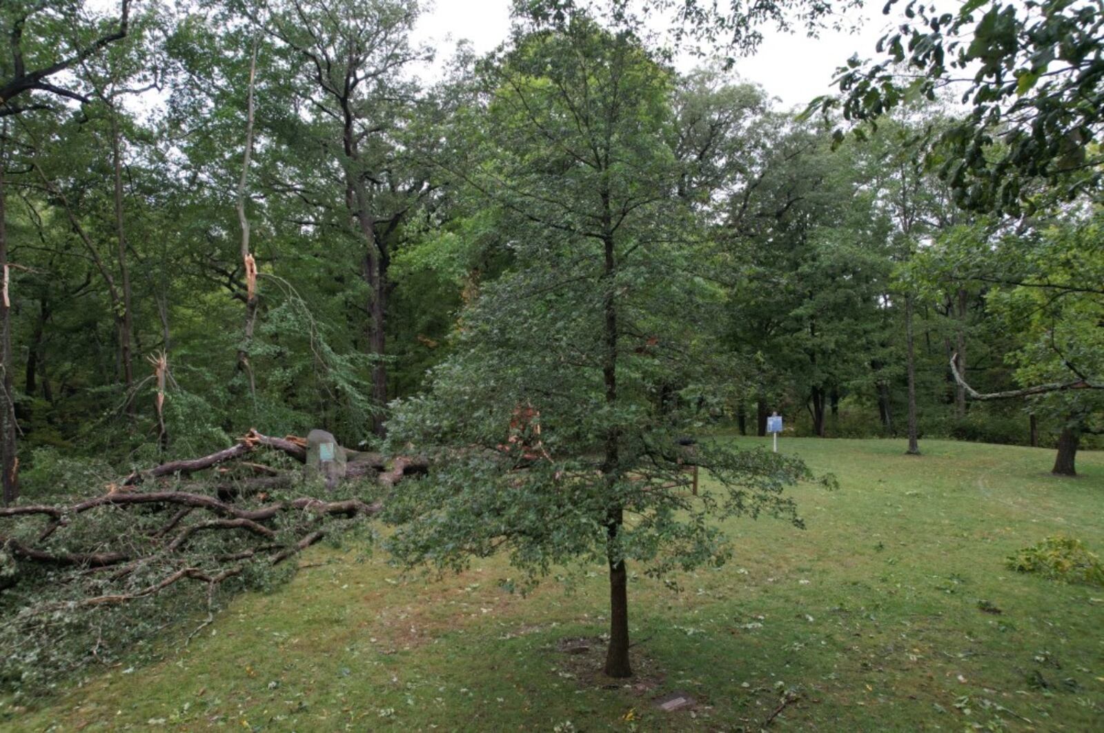 A second oak tree planted in 1977 sits near the gravesites of soldiers from a battle in 1792.