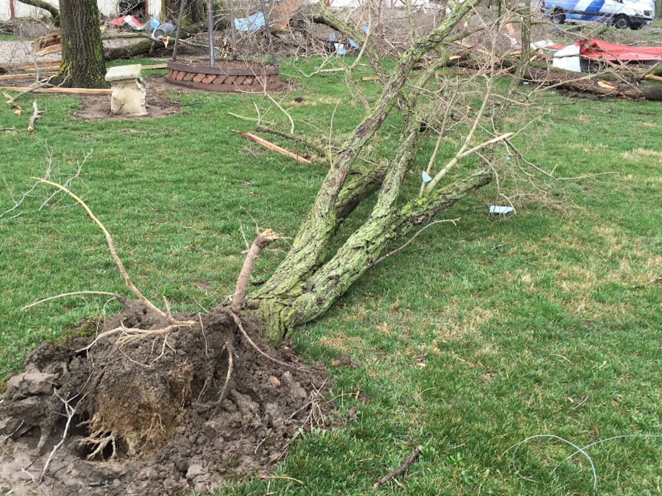 Arcanum Tornado Damage - Tree