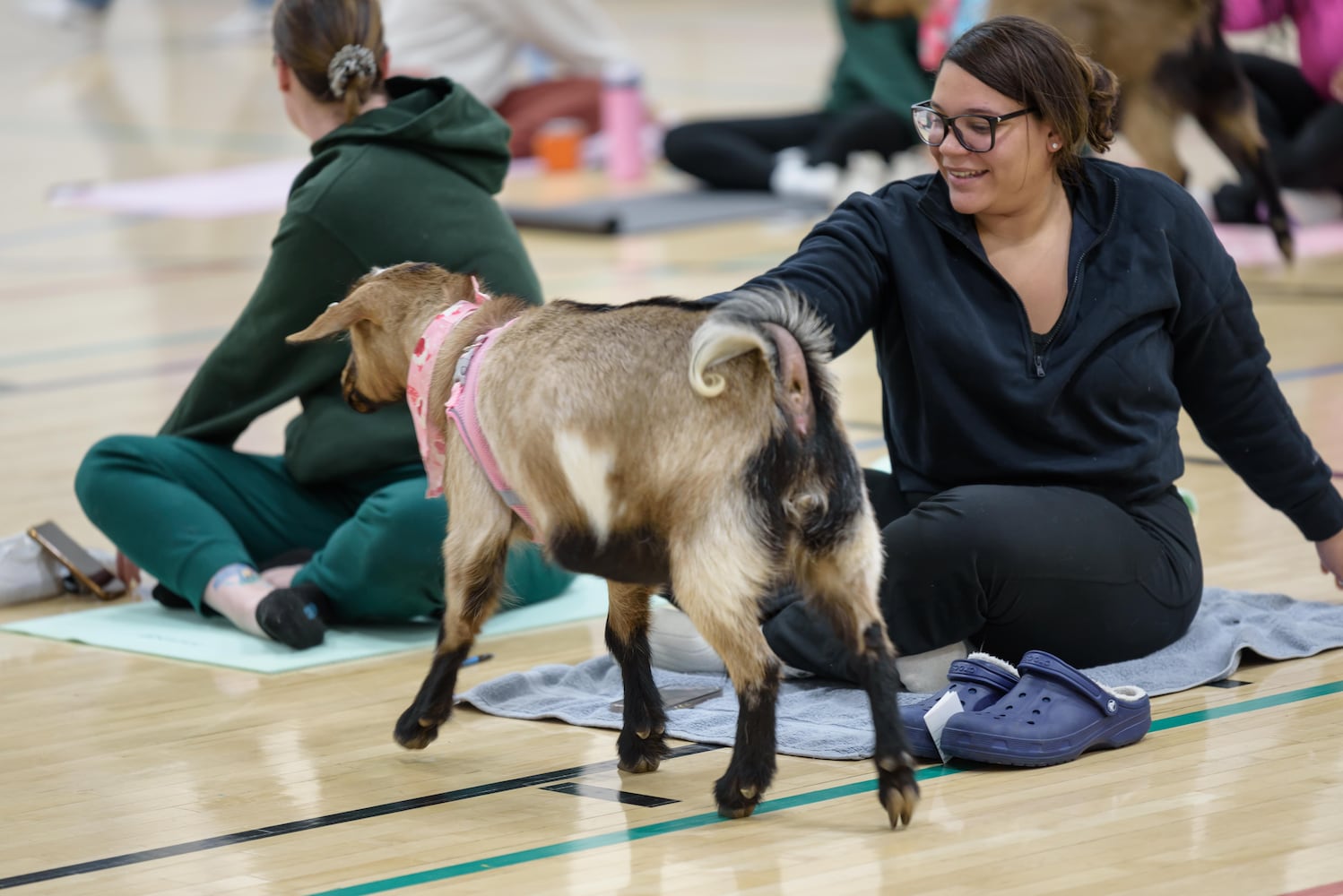 PHOTOS: Sweetheart Goat Yoga at Vandalia Recreation Center