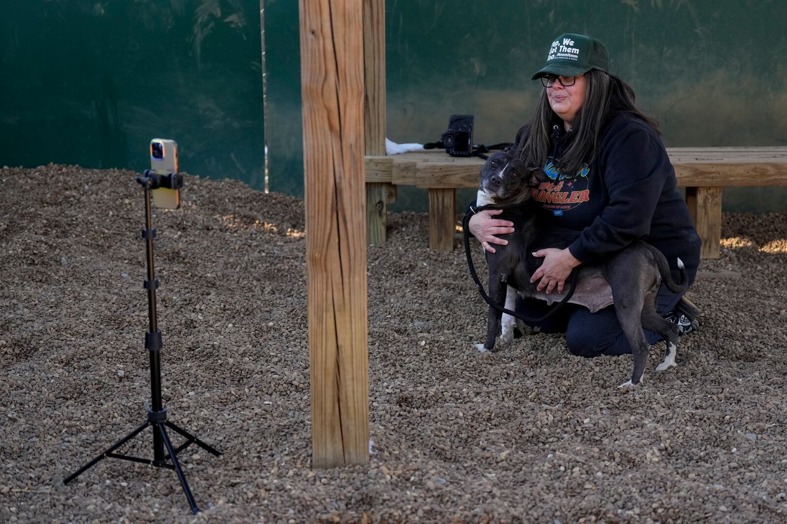 Volunteer Adrian Budnick makes a video for social media with a dog at the Metro Animal Care and Control facility Thursday, Feb. 20, 2025, in Nashville, Tenn. (AP Photo/George Walker IV)