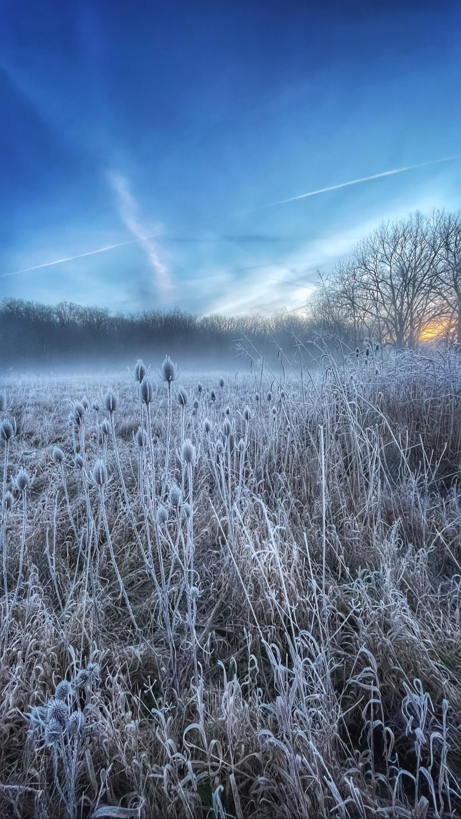 A peaceful winter hike through the prairie at Germantown MetroPark - JASON SULLIVAN