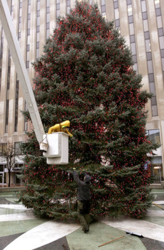 Preparing area holiday displays