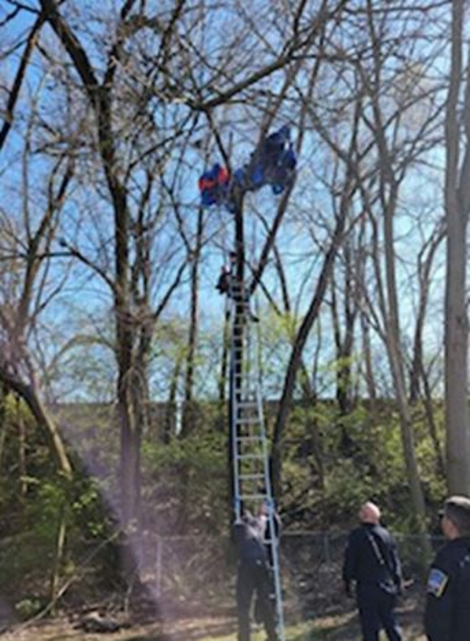 A skydiver was rescued by the Middletown Division of Fire Sunday afternoon after three went off course. SUBMITTED