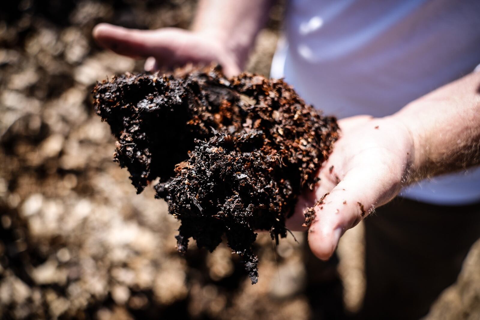 Dorthey Lane Market donates food waste to the Unity Garden which is made into valuable compost. JIM NOELKER/STAFF