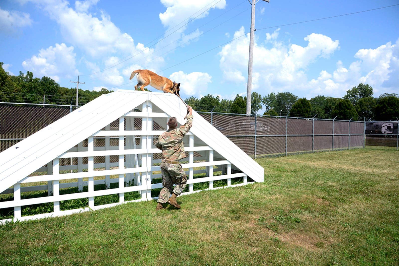 Mesha, a military working dog with the 88th Security Forces Squadron, is led over stairs Aug. 18 by her handler, Staff Sgt. Matthew Watkins, on the new obstacle course at Wright-Patterson Air Force Base. U.S. AIR FORCE PHOTO/AIRMAN 1ST CLASS JACK GARDNER