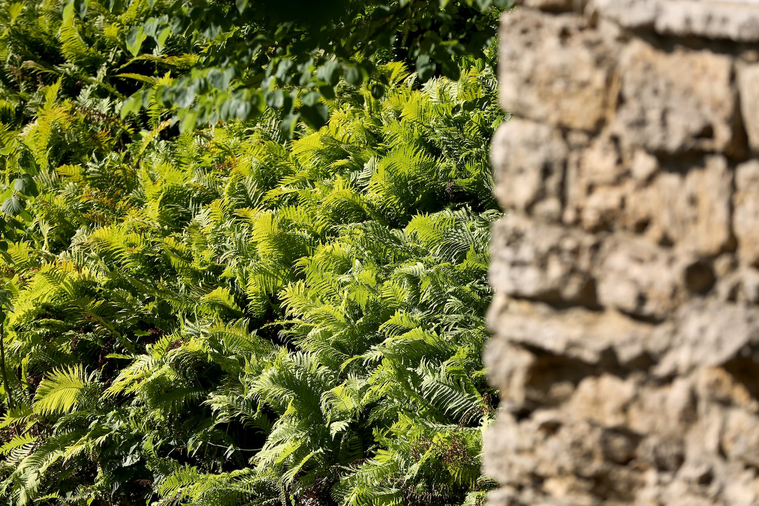 PHOTOS: Take a stroll through the glorious Grotto Gardens