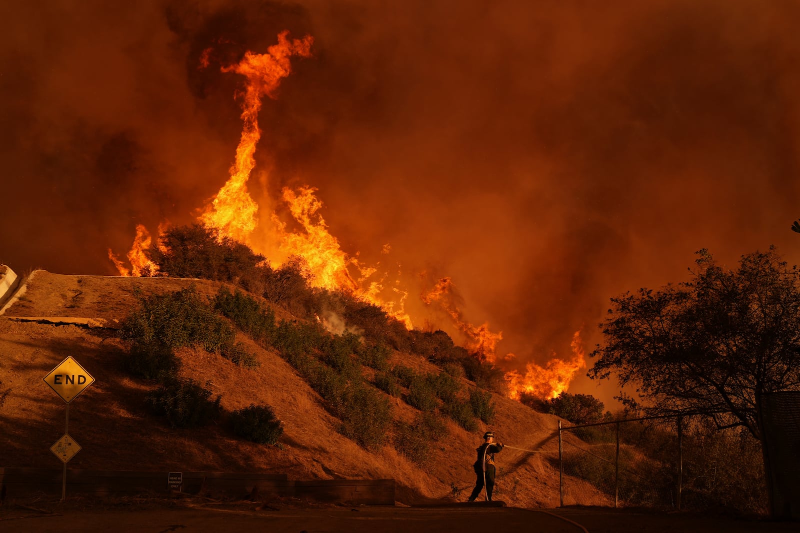 A firefighter battles the Palisades Fire in Mandeville Canyon Saturday, Jan. 11, 2025, in Los Angeles. (AP Photo/Jae C. Hong)