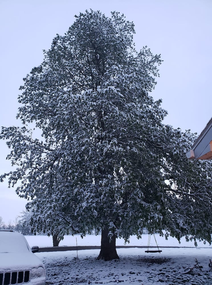 PHOTOS: Snowfall in April in the Miami Valley