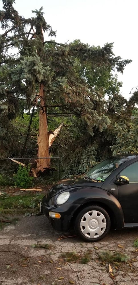 PHOTOS: Daylight reveals widespread damage from Monday storms