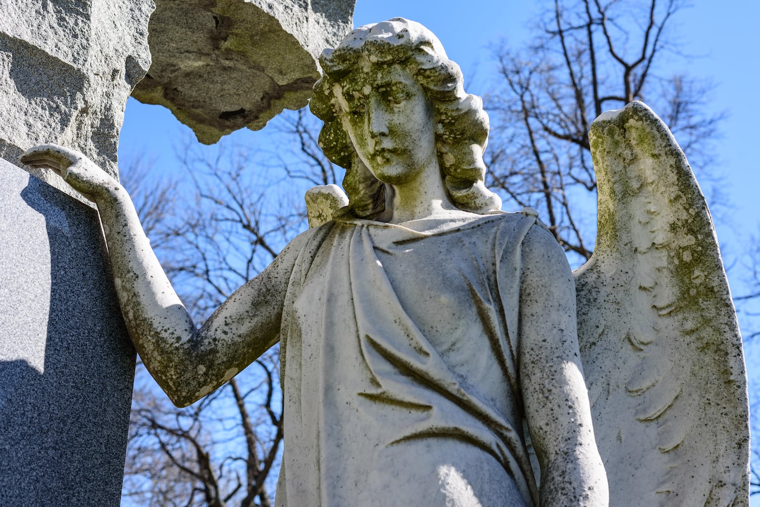 PHOTOS: Woodland Historic Tour at Woodland Cemetery & Arboretum