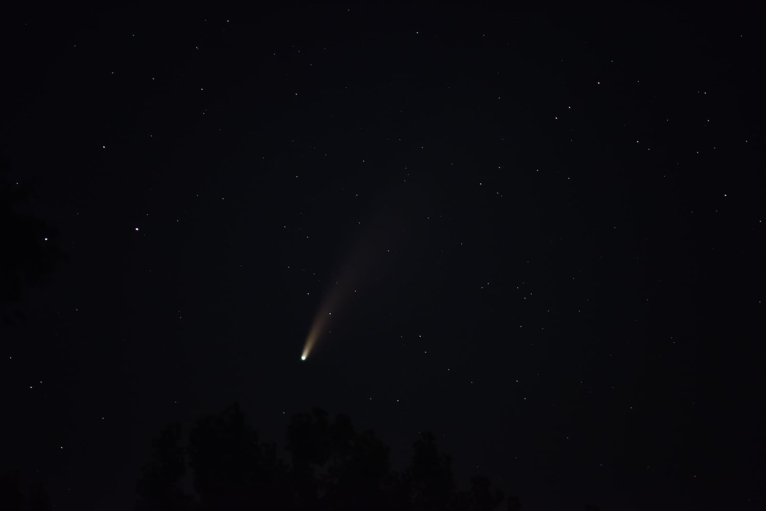 NEOWISE comet visible in the night sky