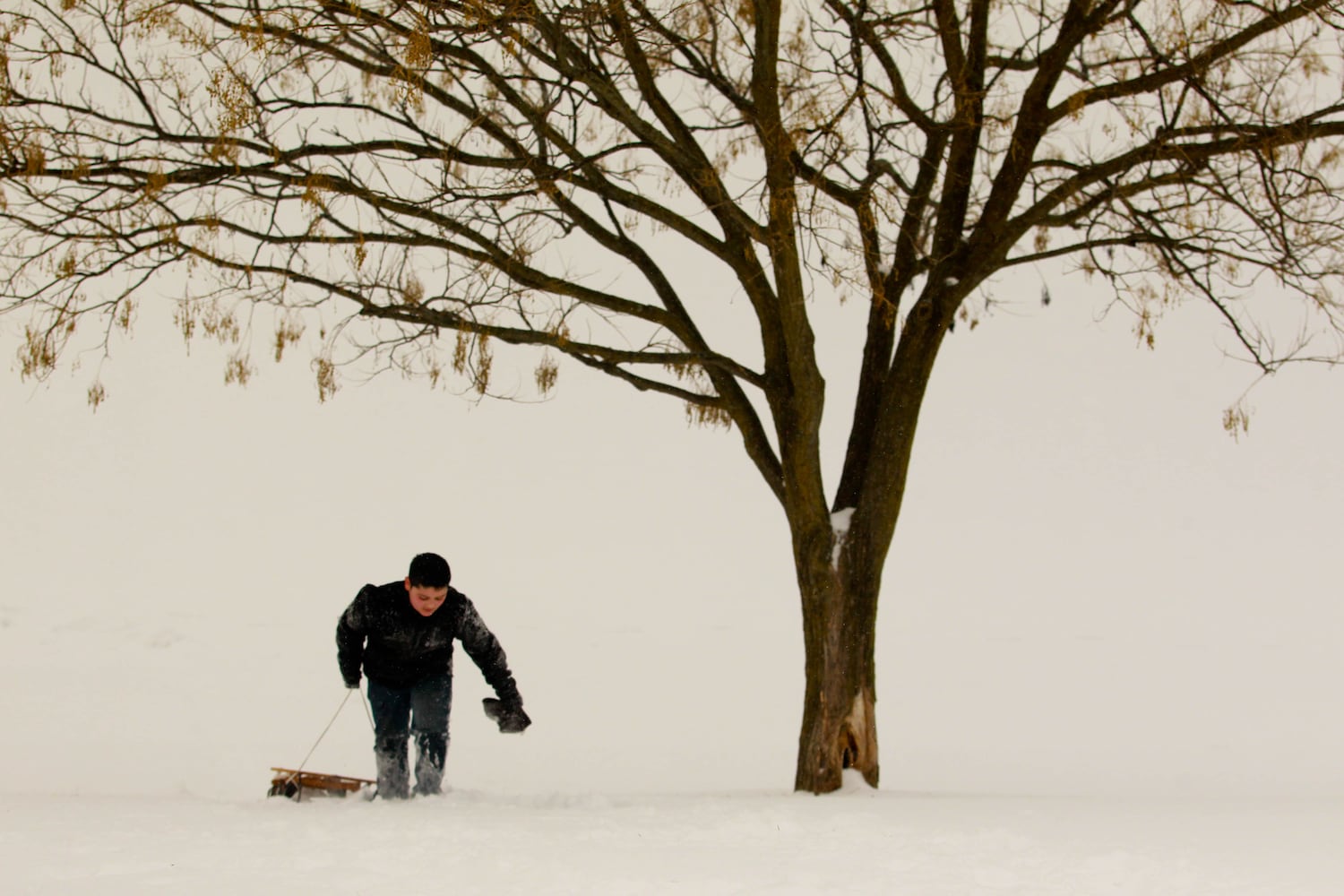 Popular sledding hills you should visit