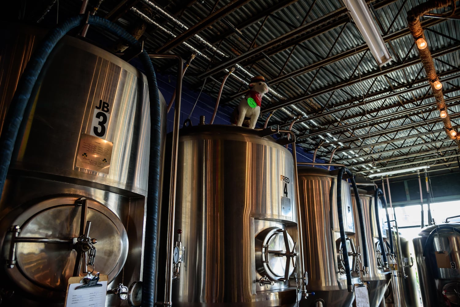 PHOTOS: Did we spot you frolicking with the cutest kids at Dayton Beer Company’s GoatFest?