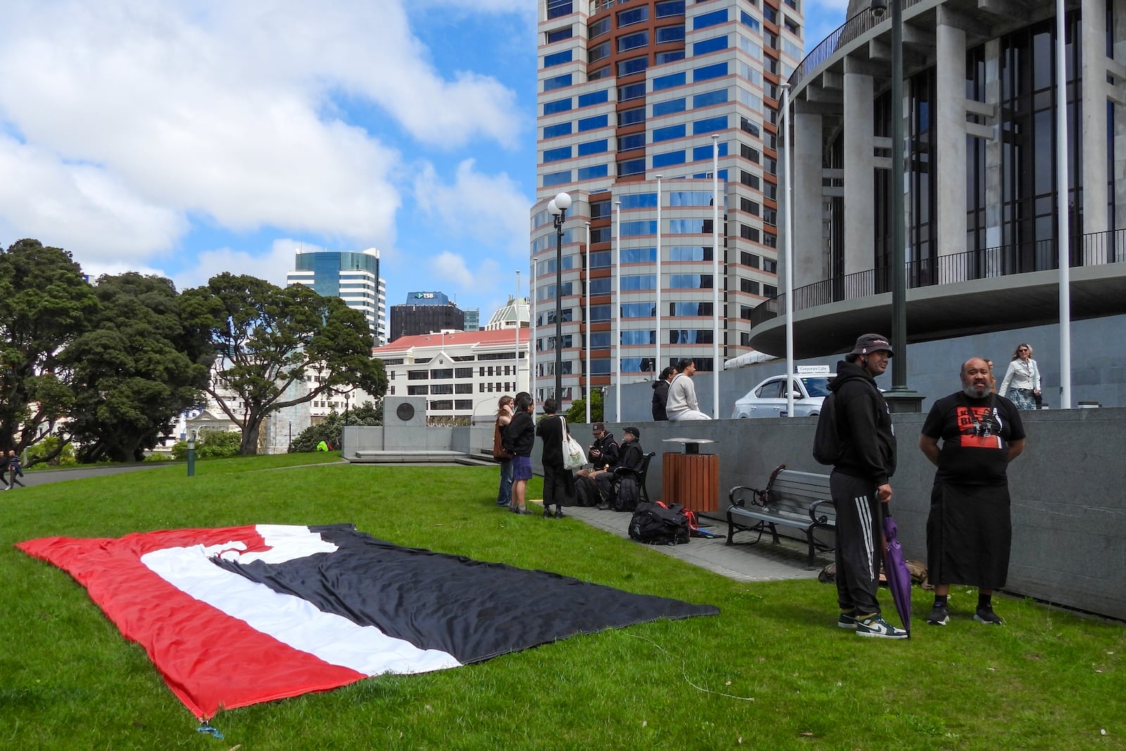 FILE - Protesters against the Treaty Principles Bill stand by a Māori sovereignty flag outside Parliament in Wellington, New Zealand, Thursday, Nov. 14, 2024. (AP Photo/Charlotte Graham-McLay, File)