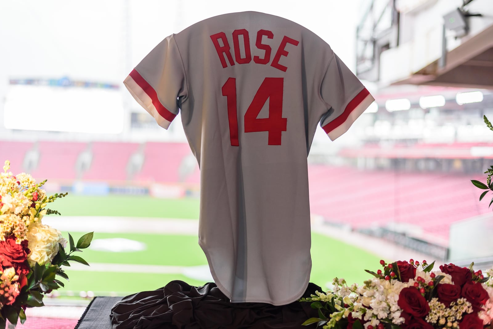 Thousands of Reds fans braved the steady rains to pay their respects to Cincinnati Reds legend and Major League Baseball’s all-time hits leader Pete Rose for a memorial visitation on Sunday, Nov. 10, 2024, at Great American Ball Park. Hosted by the Cincinnati Reds and Rose’s family, the visitation lasted 14 hours, a tribute to the “Hit King’s” jersey number. Rose died on Sept. 30 at the age of 83. TOM GILLIAM / CONTRIBUTING PHOTOGRAPHER