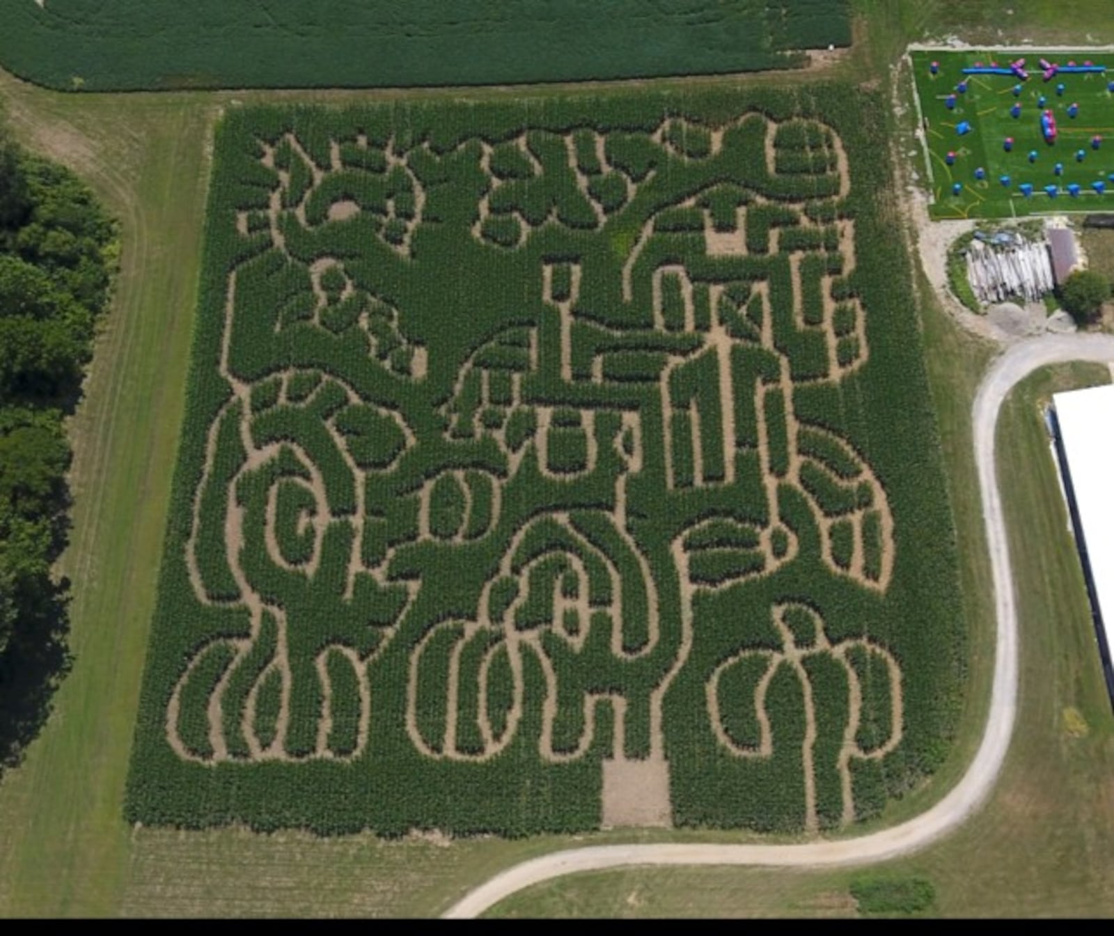 The Niederman Family Farm corn maze for 2017 looks challenging.