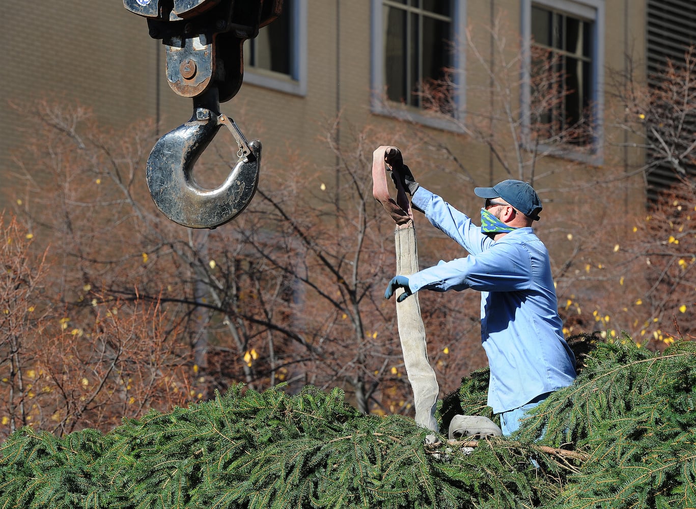 PHOTOS: Tree arrives for Dayton Holiday Festival