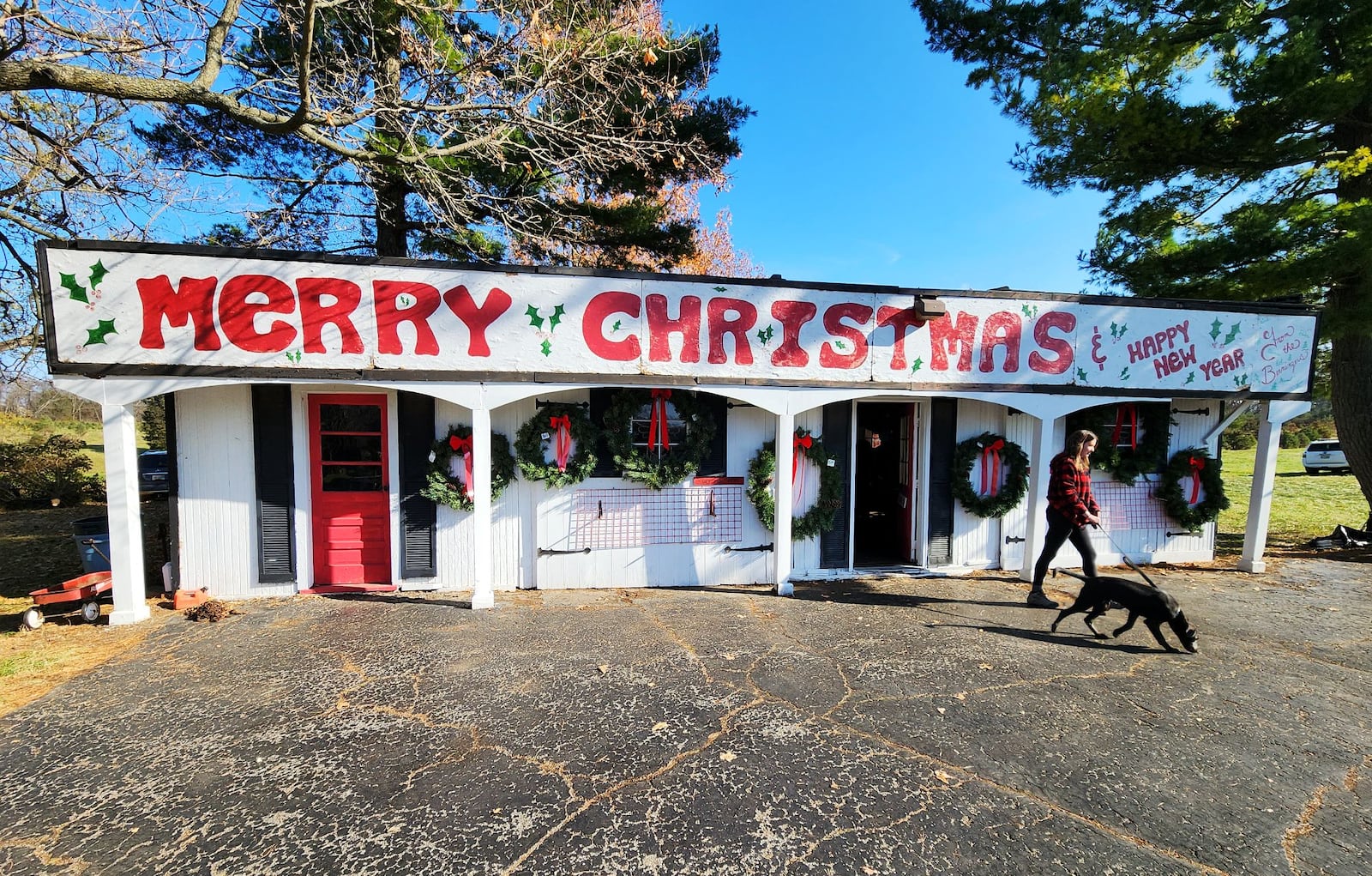 The day after Thanksgiving is the busiest day to shop for Christmas trees at Berninger Christmas Trees and Wreaths Friday, Nov. 24, 2023 in Turtlecreek Twp. NICK GRAHAM/STAFF