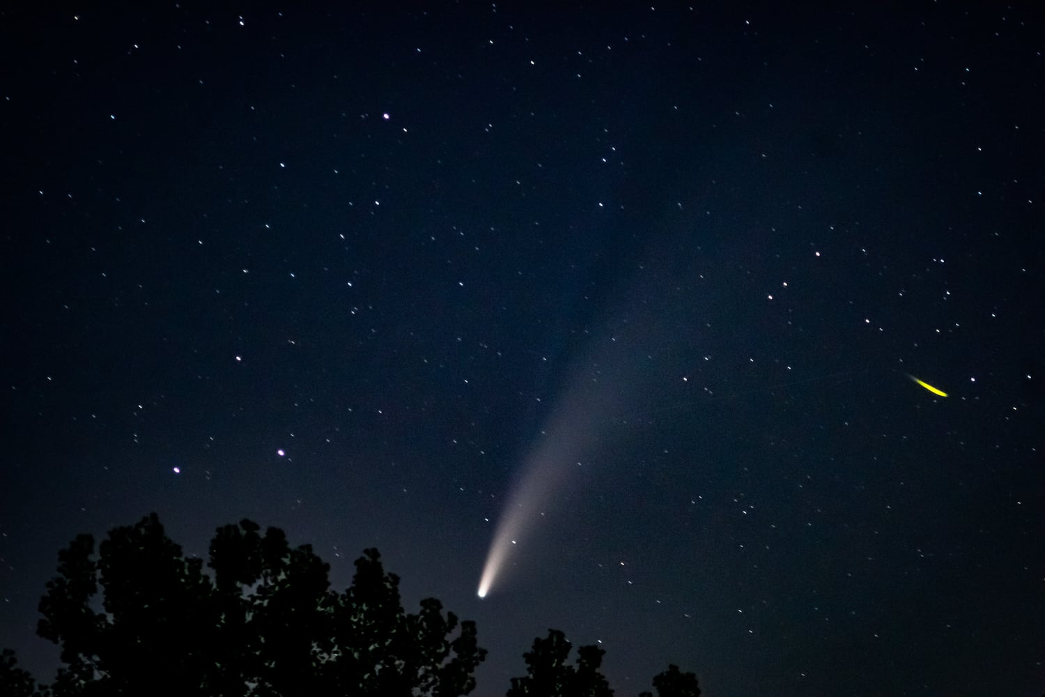 NEOWISE comet visible in the night sky