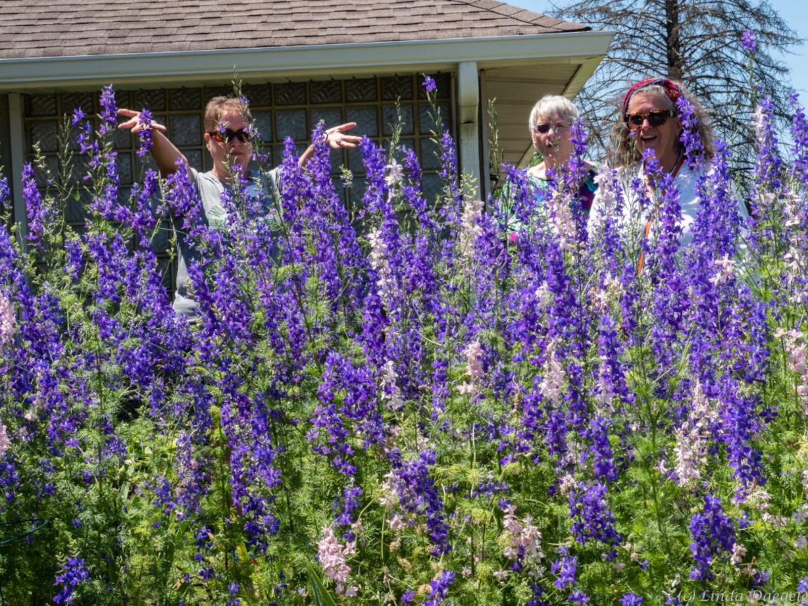 Osborn Historic Garden Club's GardenAffair 2024: Biennial Summer Garden Tour and Garden & Art Fair will take place June 15 in Fairborn. CONTRIBUTED