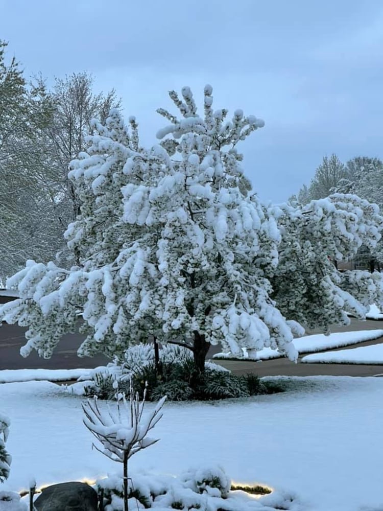 PHOTOS: Snowfall in April in the Miami Valley