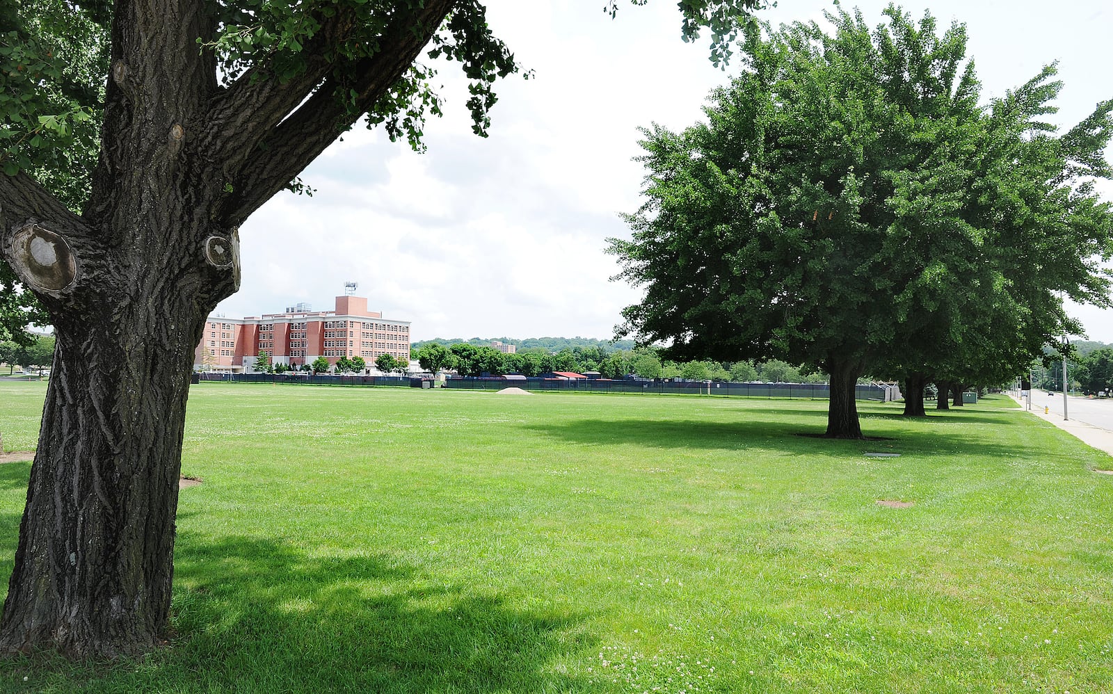 The University of Dayton’s proposal to build a new $40 million dollar performing arts center at the corner of  South Main and East Stewart Streets was denied by the Dayton Plan Board. UD’s proposed development plan would remove five mature Gingko trees that the plan board said should remain. MARSHALL GORBY\STAFF