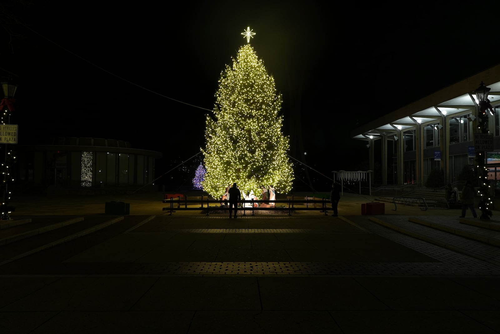 A man looks at the Christmas tree and Nativity scene on Payrow Plaza in Bethlehem, Pa., known as “Christmas City, USA,” on Sunday, Friday, Nov. 29, 2024. (AP Photo/Luis Andres Henao)