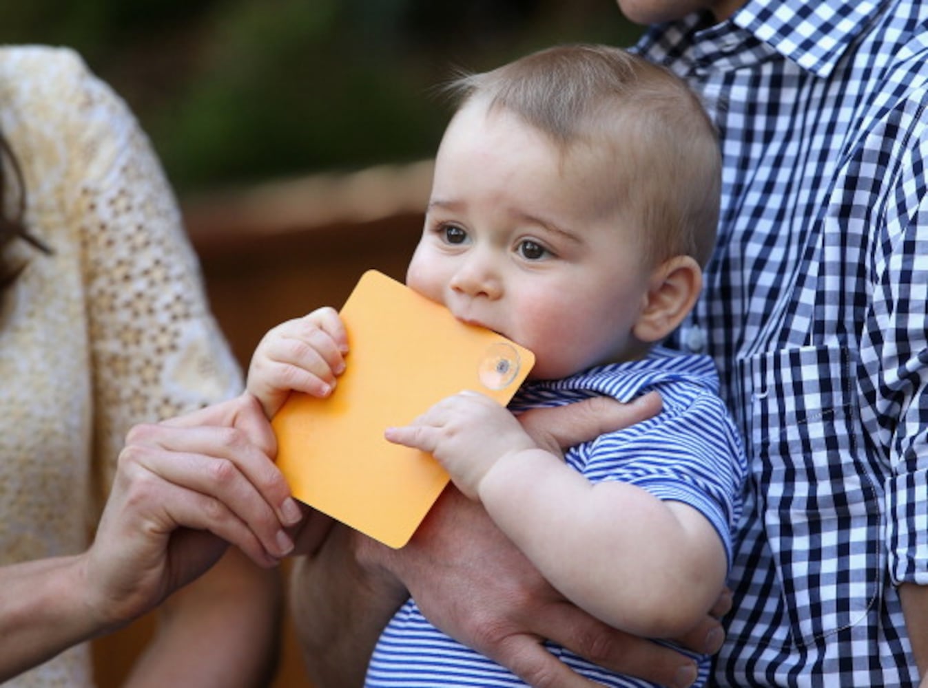 Photos: William and Kate, their growing family