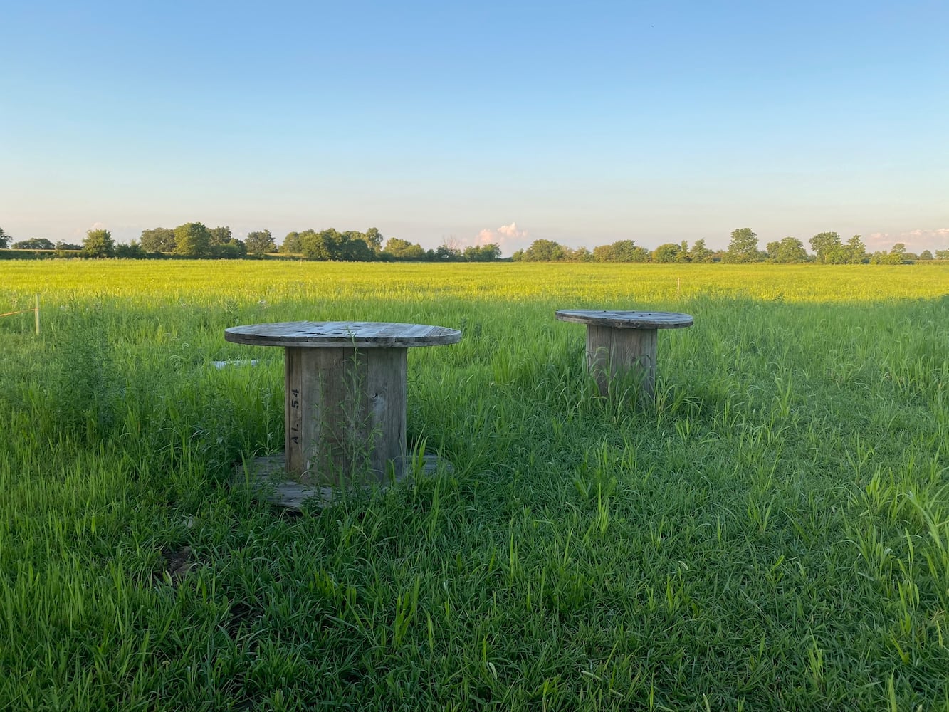 PHOTOS: Wild Hearts African Farm is a little slice of paradise