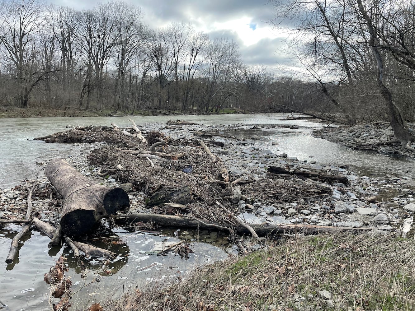 Surface water quality