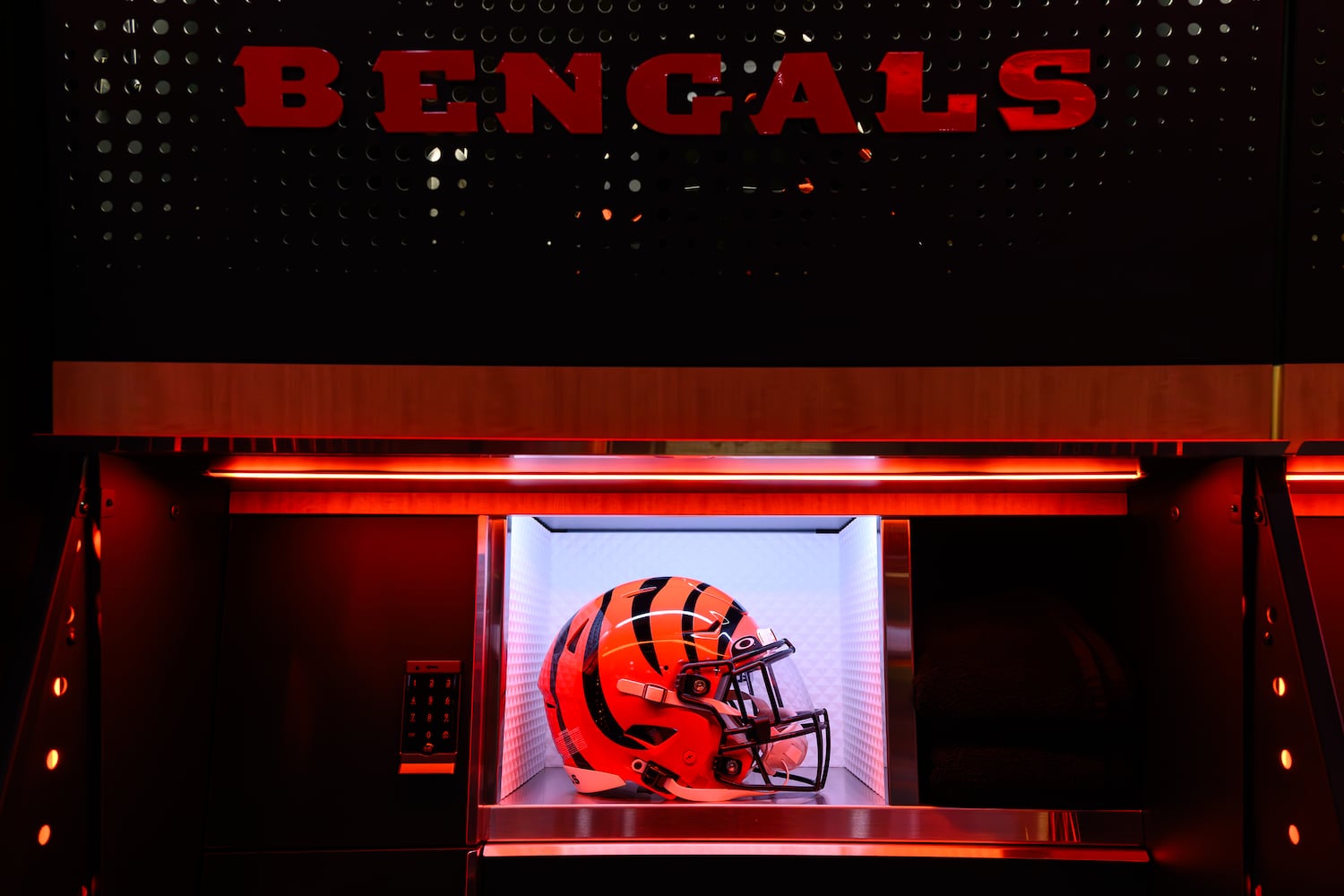 bengals