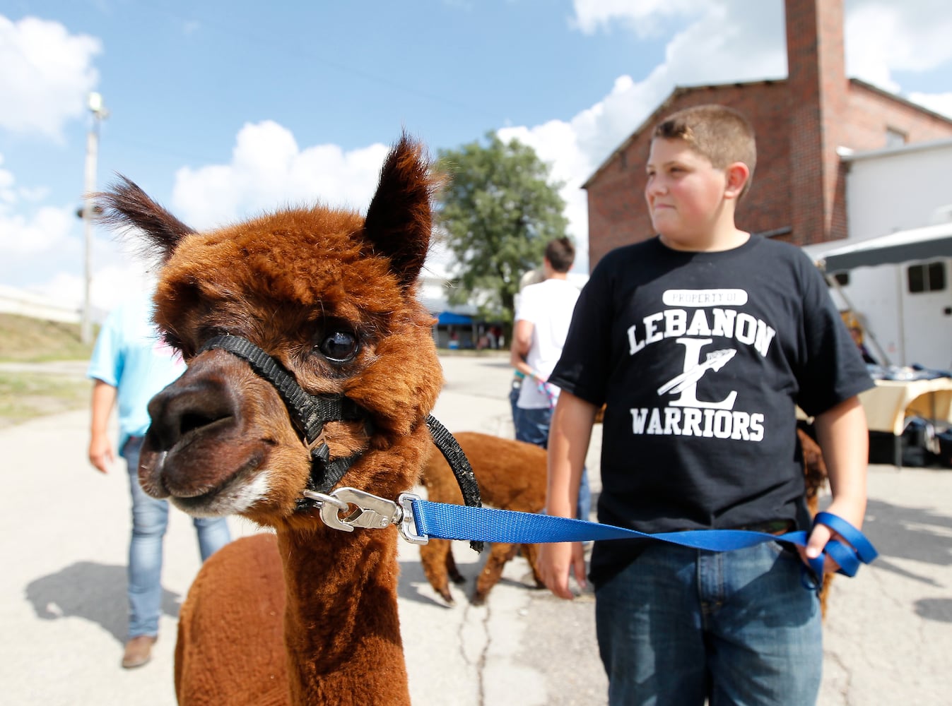 Llamas, goats and kids: 9 wacky images from the Warren County Fair