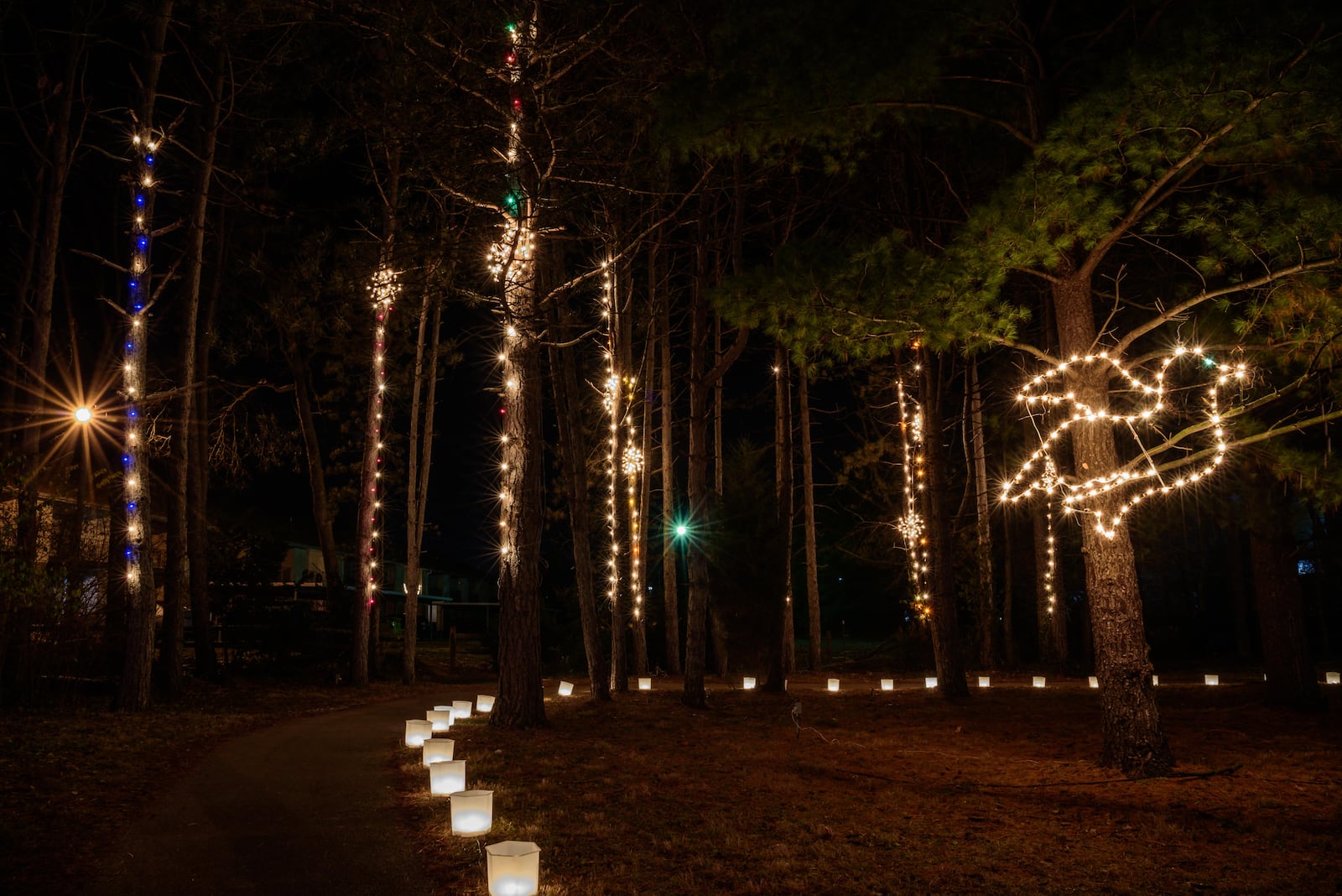 The Woodland Lights, located in Countryside Park, 895 Miamisburg-Centerville Road, in Washington Twp. is one of the longest-running and most popular annual lights festivals in the Miami Valley area. The Christmas light display is open from 6 p.m. to 9 p.m. from Nov. 23 to Dec. 23. TOM GILLIAM / CONTRIBUTING PHOTOGRAPHER