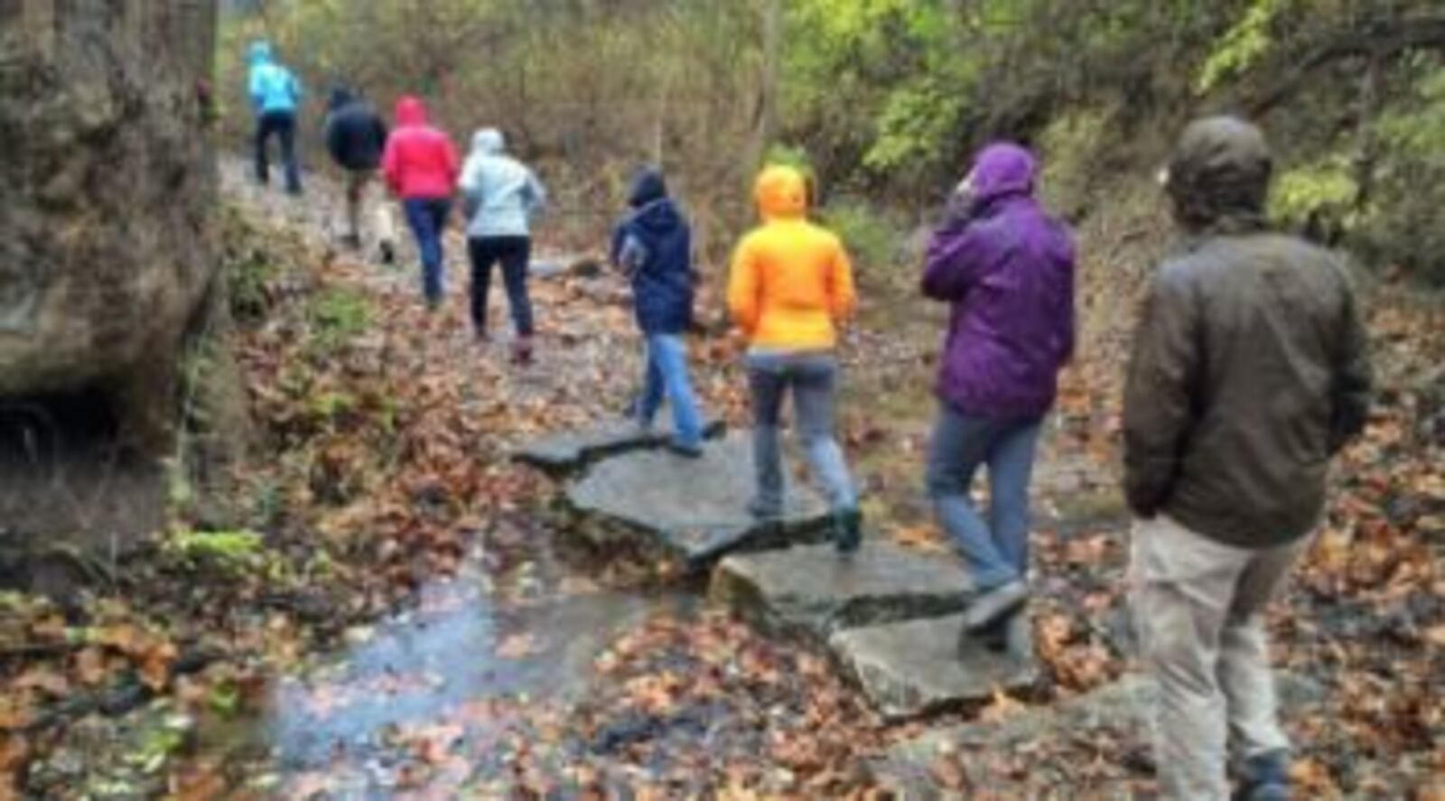 Possum Creek MetroPark’s forests, prairies and ponds, allowing you to see fall views in a variety of habitats. CONTRIBUTED