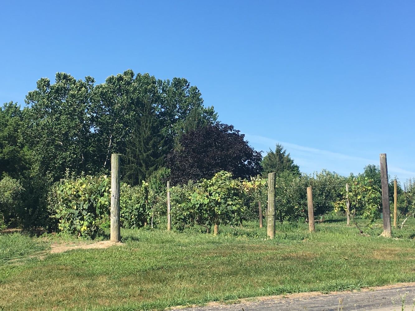 Hidden Valley Orchards