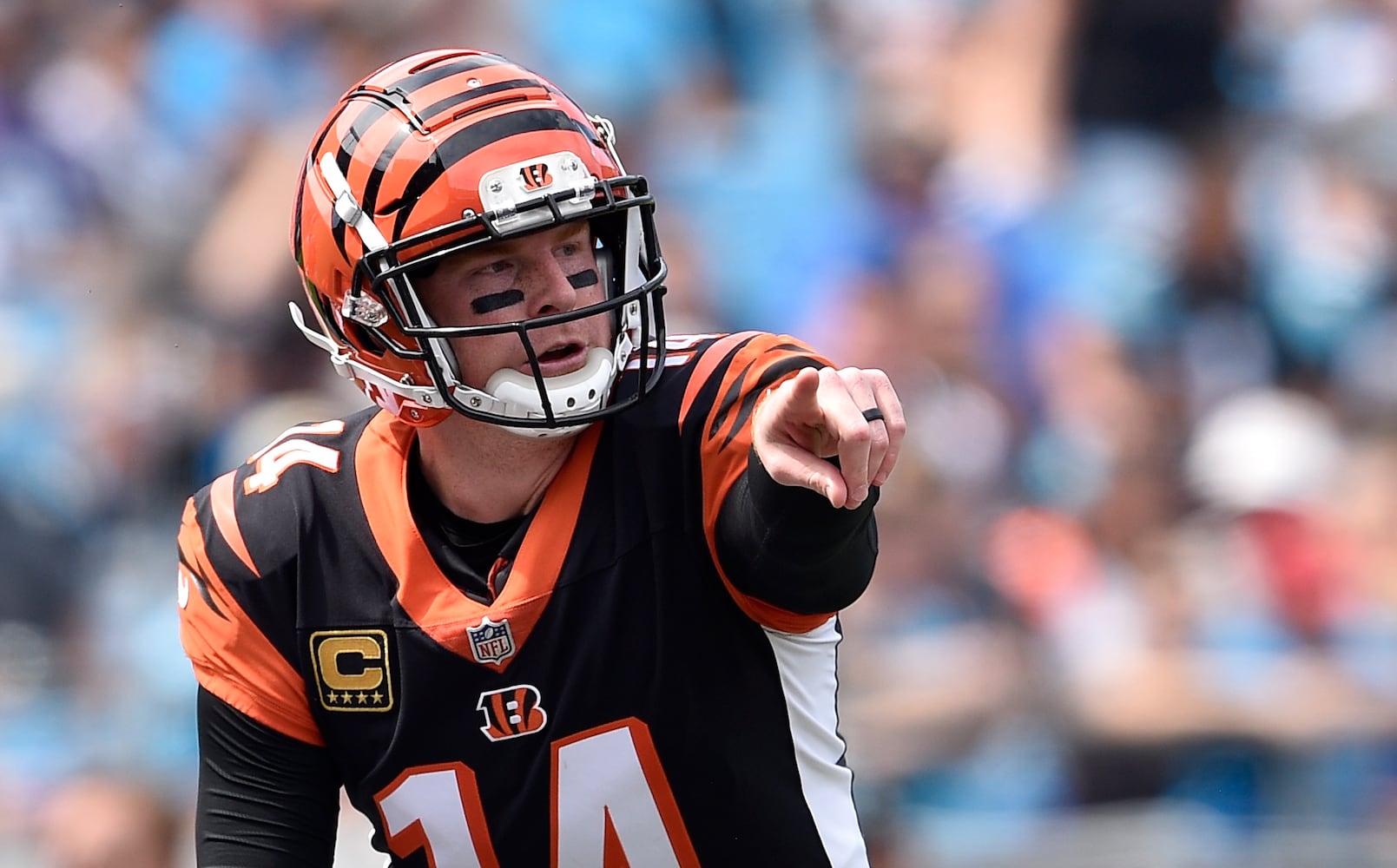 PHOTOS: Cincinnati Bengals vs. Carolina Panthers