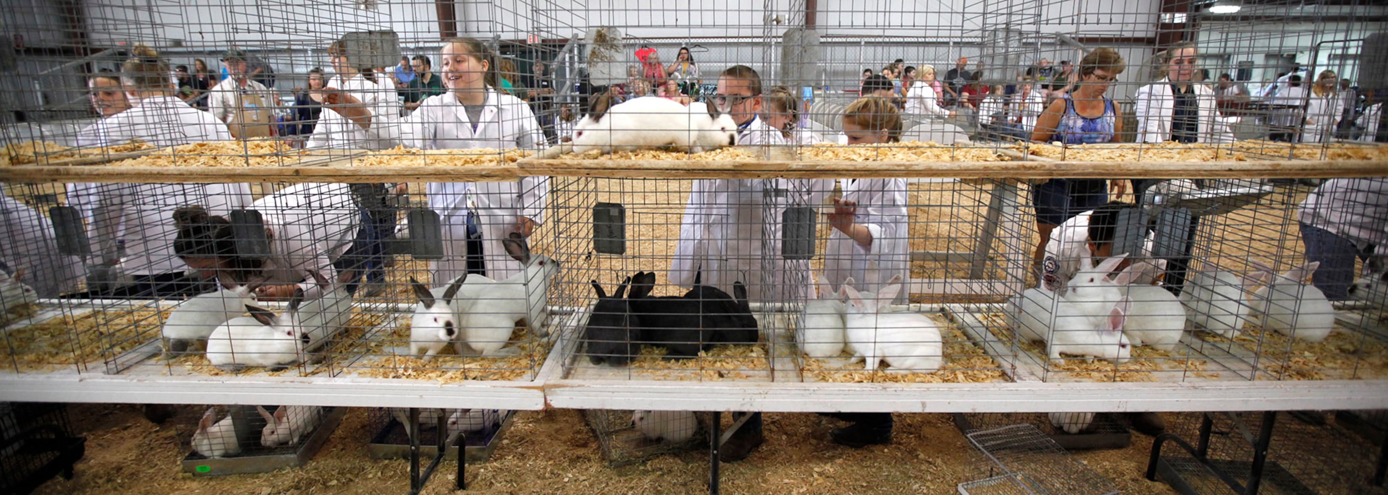 PHOTOS: What we saw at the 2019 Greene County fair