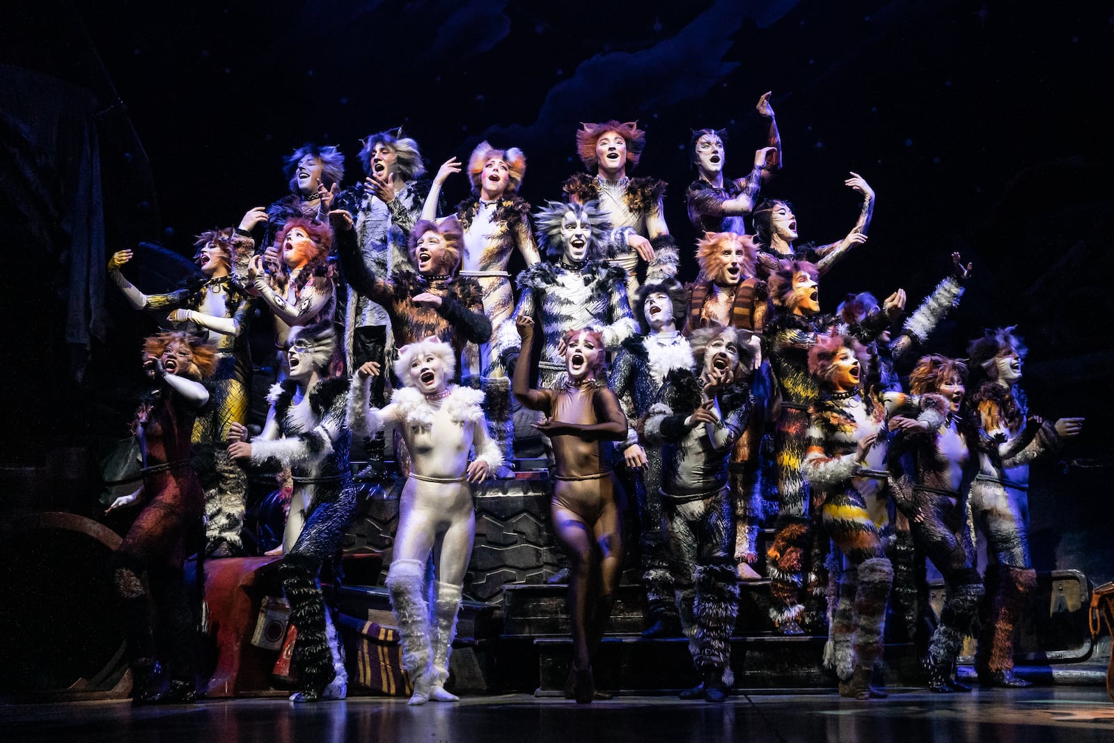 The national touring company of "Cats" performed at the Schuster Center in November 2021. The Muse Machine's presentation will take place at the Victoria Theatre Jan. 16-19, 2025. CONTRIBUTED