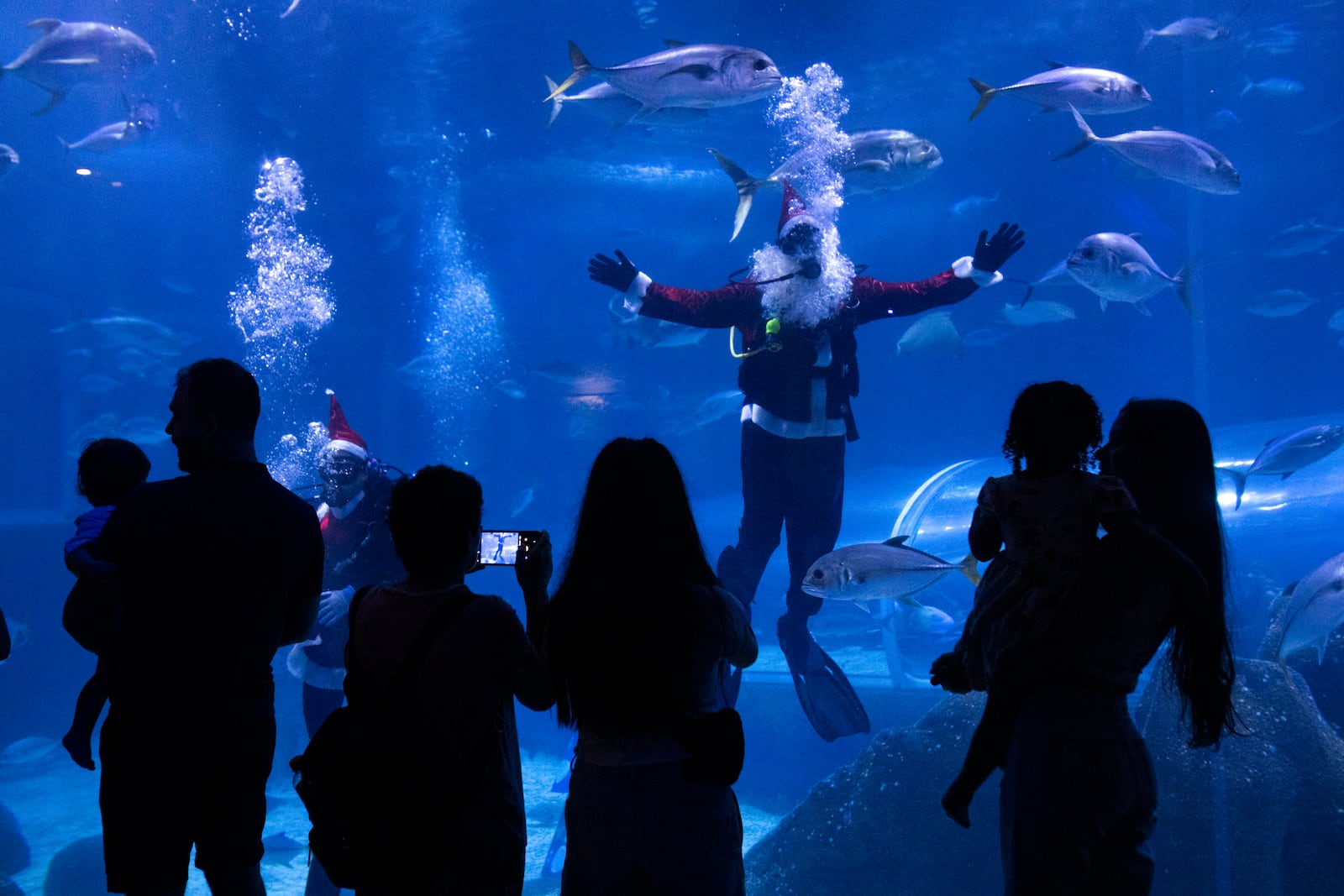 Visitors watch divers dressed as Mother Christmas and Santa Claus swim inside a tank at the AquaRio Marine Aquarium, as part of an annual Christmas tradition, in Rio de Janeiro, Saturday, Dec. 21, 2024. (AP Photo/ Bruna Prado)