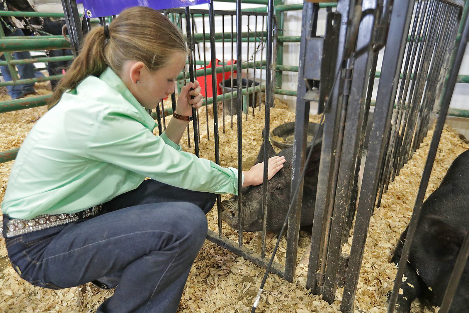 Avery Stout says goodbye to her pig after auctioning it off Friday during the Jr. Fair Auction at the Clark County Fair. BILL LACKEY/STAFF